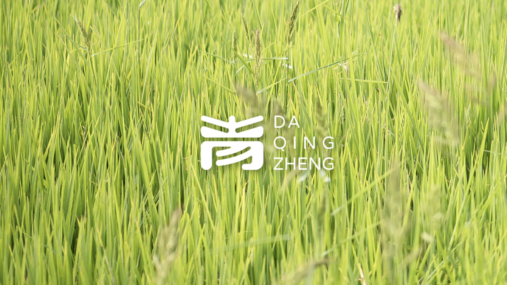 農(nóng)業(yè)vi設(shè)計(jì).jpg 農(nóng)業(yè)vi設(shè)計(jì).jpg